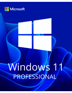 Microsoft Windows 11 Pro (Retail)
