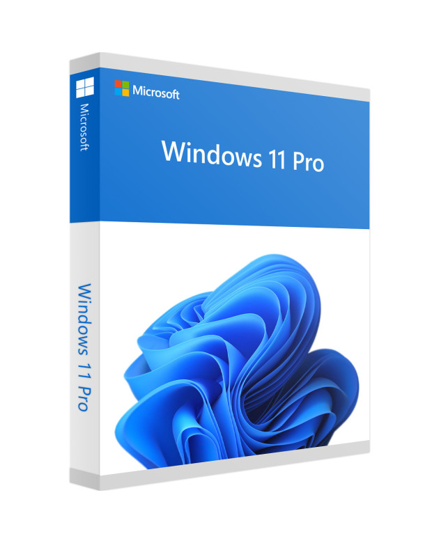 Microsoft Windows 11 Pro (OEM)